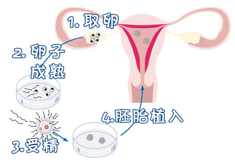 诊疗环境